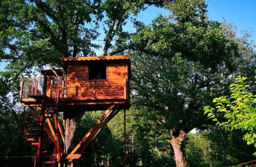 Rogliano House | Casa sull'albero Bocchineri