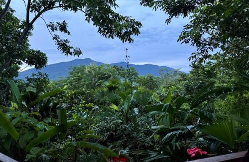 Putumayo House | Casa Suma Selva