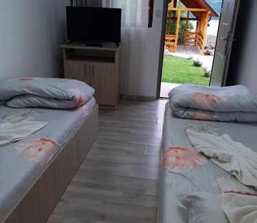 Svinita House | Casa Sviniceană