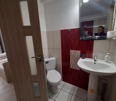 Svinita House | Casa Sviniceană