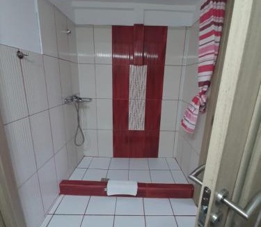 Svinita House | Casa Sviniceană