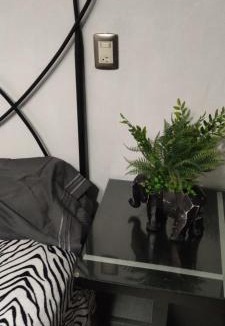 Arandas House | Casa tabachin