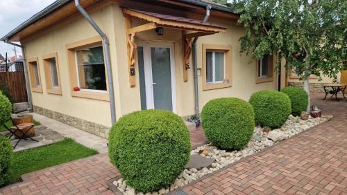 Buzau House | Casa Teo