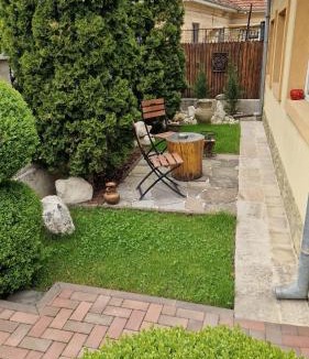 Buzau House | Casa Teo