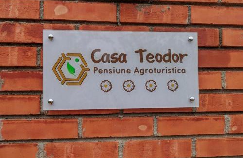 Valcea House | Casa Teodor