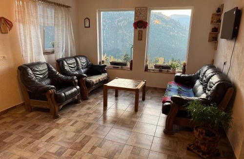 Albac Cabin | Casa Teodora