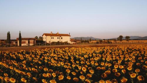 Montorsaio Bed & Breakfast | Casa Terzerie