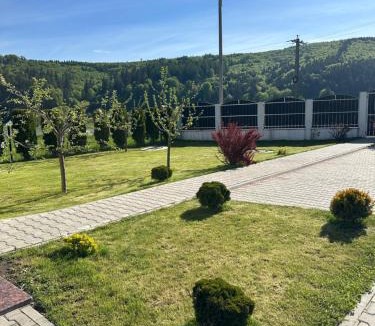 Vama Buzaului House | Casa Tică