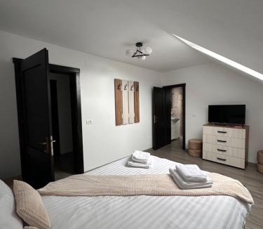 Vama Buzaului House | Casa Tică