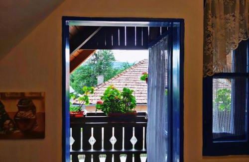 Viseu de Sus Hostel | Casa Toth