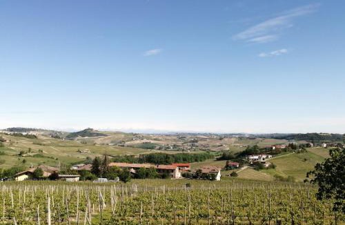 Calosso House | Casa tra i vigneti