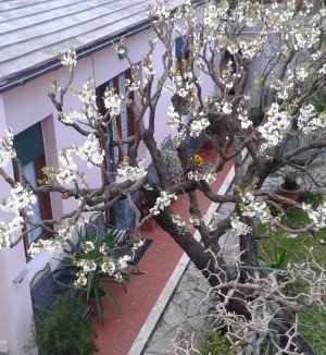 Sant'Ilario Apartment | Casa Tra Il Verde E Il Blu