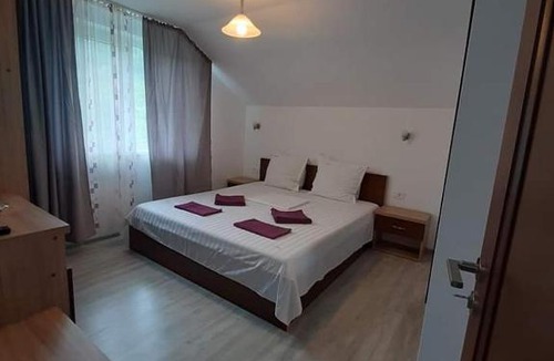 Calimanesti House | Casa Trache