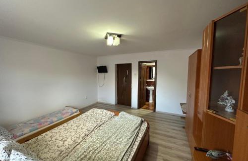 Cartisoara House | Casa Tradițională Cârtisoara