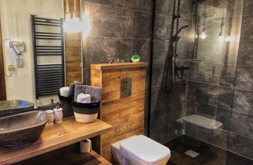 Sinaia House | Casa Traian