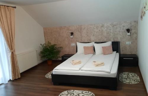 Toplita House | Casa Truța