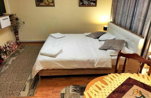 Borsa House | Casa Tudor-Nicolae