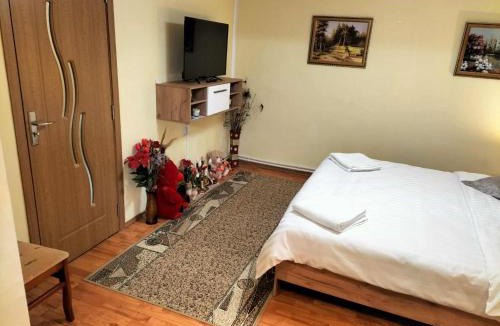 Borsa House | Casa Tudor-Nicolae