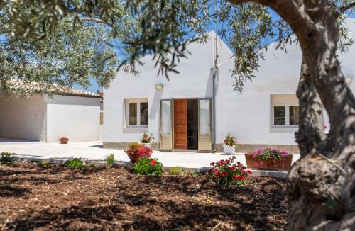 Casa Papa Apartment | Casa vacanza i due ulivi