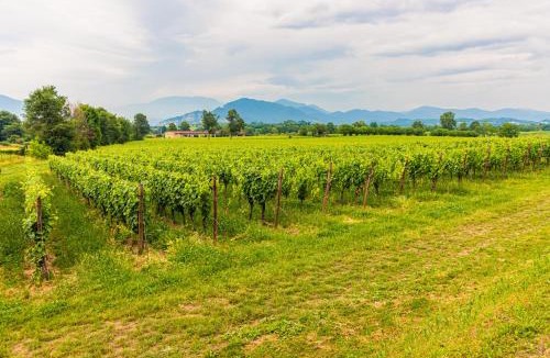 Torbiato di Adro Apartment | Casa Vacanza Nichy
