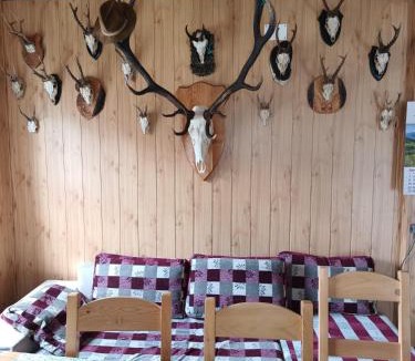 Vama Buzaului House | Casa Vanatorului Buzaiel