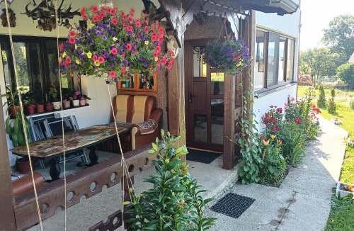 Saru Dornei House | Casa Vasy