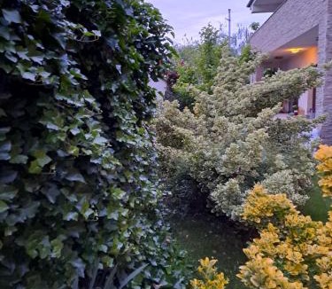 Pantelimon Villa | Casa verde 2
