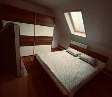 Foieni House | Casa Verde