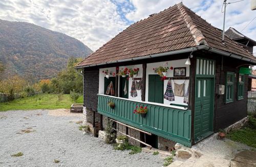 Lupsa House | Casa Verde