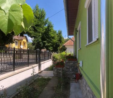 Vata de Jos House | Casa Verde