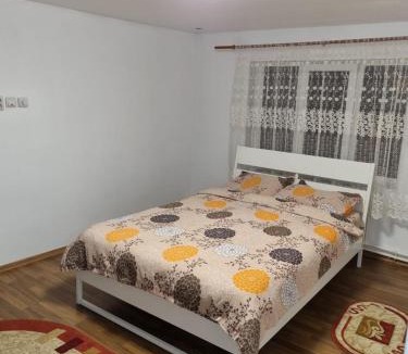 Sarmizegetusa House | Casa YMY