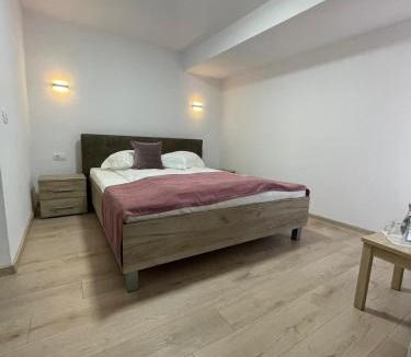 Sugag House | Casa Zorilor