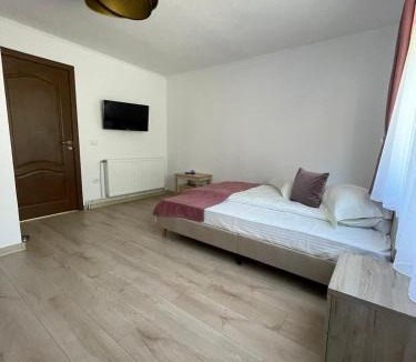 Sugag House | Casa Zorilor