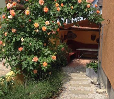 Bad Windsheim Apartment | CasaOrientale