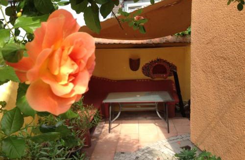 Bad Windsheim Apartment | CasaOrientale