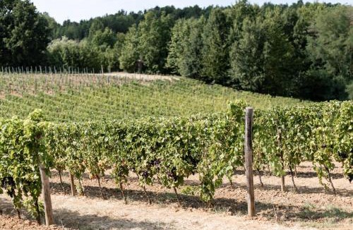 Mombaruzzo Villa | Cascina Bella Relais