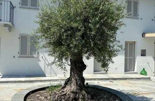 Canelli House | Cascina Canelli - Apt. Asti, Cascina Canelli - Apt. Asti