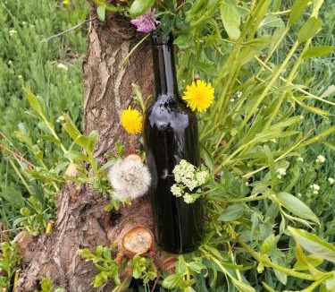 Costigliole d'Asti Bed & Breakfast | Cascina E&E