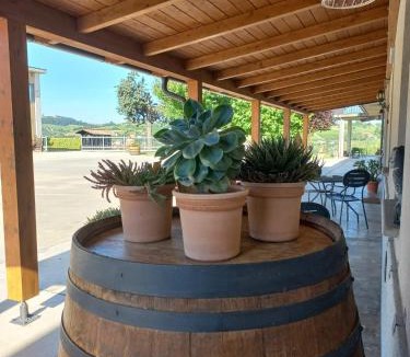 Neive House | Cascina Longoria