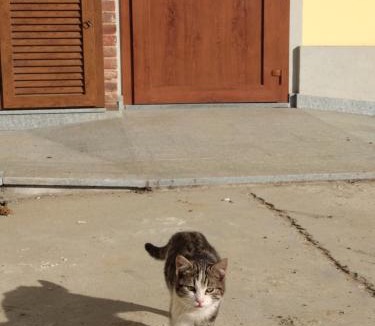 Asti House | CASCINA PONTETTO