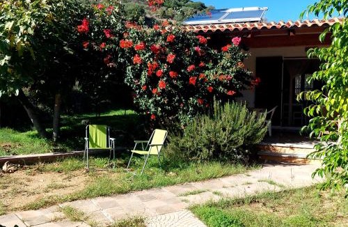 Tertenia House | Case 800 mt dal mare - Casa Flora e Casa Aurora