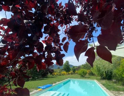 Salsomaggiore Terme Bed & Breakfast | Case Crovina