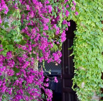 Caltabellotta House | Case Troccoli