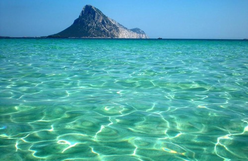Tiriddo Apartment | Case vacanze Il mirto bianco