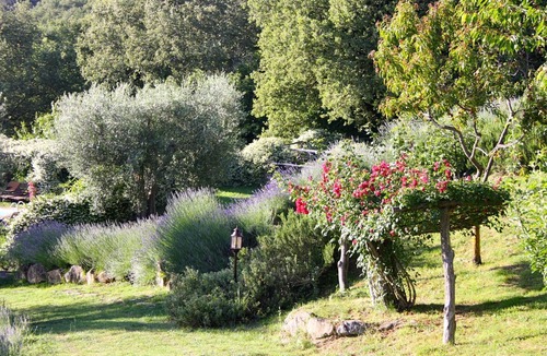 Umbertide Villa | Casella- under the tuscan sun