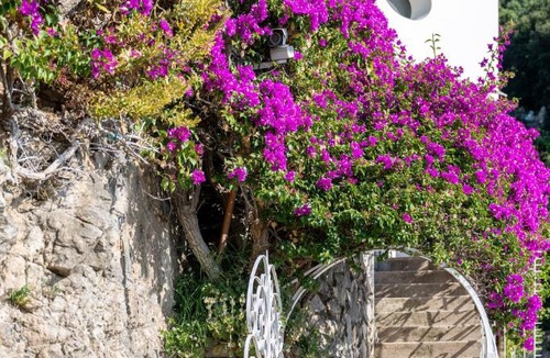 Arienzo Apartment | Casetta Arienzo