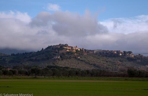 Donoratico House | Casetta Singola vicino al Mare