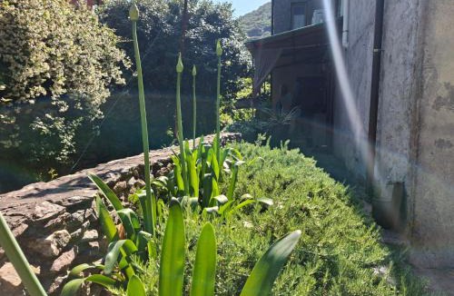 San Giuliano Terme Apartment | Casettaruscello