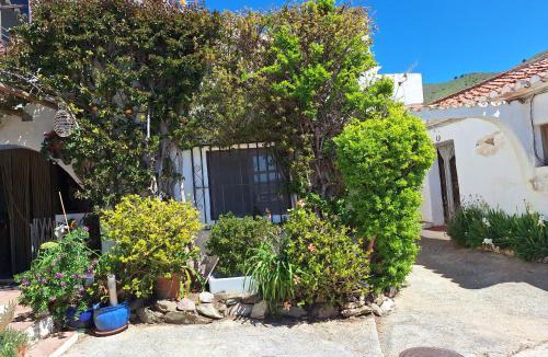 Rubite House | Casita Tomate