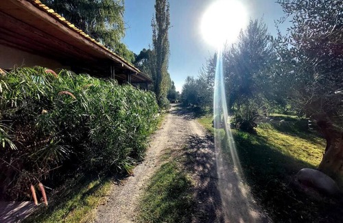 Guaymallen Villa | Casona Los Papiros tranquilidad en la naturaleza